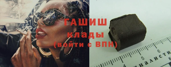 прущие грибы Елизово