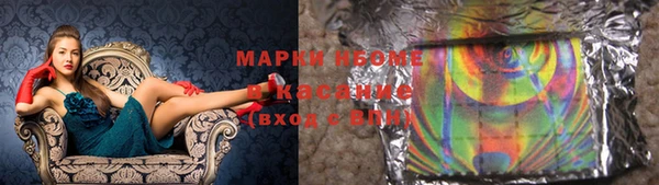 прущие грибы Елизово