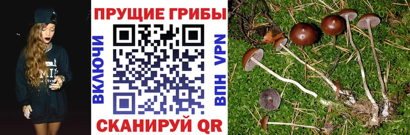 дарк нет как зайти  наркотики  Старый Крым  Галлюциногенные грибы мухоморы 